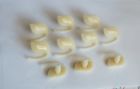 4877001 Body Side Moulding Clips