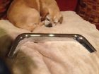 294006 Chevrolet Mopar Part Chrome Roth Ford Nos