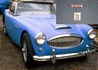 Dr Doolin Healey Fender Blanket