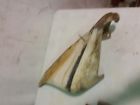 Gm Pontiac Firebird Trans Am Fender Spoiler Flare And Brackets