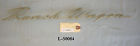 L50084 Wagon Panel 1961 Ford Emblem Ranch Quarter