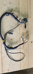 1983 Datsun 280ZX S130 Complete Radio Wiring Harness 24023-P9100 + Antenna Cabl. Fixed Price $99.99.