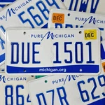 Michigan License Plate Free 1 Random Pure Real Tag. Fixed Price $15.99.