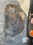 1970- 1972 Buick Skylark Gs Right Hand Side Inner Fender. Fixed Price $300.00.
