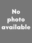 Saab 9000 Dorman Scantech Right Engine Timing Chain Guide 53.4230 9134230. Fixed Price $31.00.