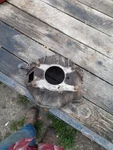 Chevrolet Gm 10 1/2" Nova Camaro Chevelle 3858403. Fixed Price $90.00.