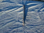 1966 1967 Dodge Charger Hood Trim Emblem Lh. Fixed Price $90.00.