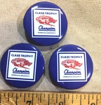 Minnesota Dragways Class Trophy Champion (3) Pin Buttons Vintage Racing. Fixed Price $13.00.