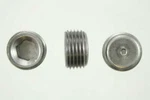 Pipe Plug Pioneer PP554T25. Fixed Price $11.12.