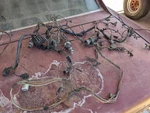 1965 1966 Mustang Wiring Harness Under Dash Original Oem Ford 1964-70 Fuse Wire. Fixed Price $196.60.