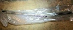 Gm 64 72 Pontiac Etc. Sash Channel, Quarter Glass 8734083. Fixed Price $35.00.