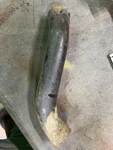 1969 Oldsmobile Cutlass 350 Motor Exhaust Manifold Heat Riser Shield Tube. Fixed Price $35.00.