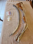 Nos Mopar Wheel Well Molding 4411623 1989 Chrysler Lebaron Left Front W/hardware. Fixed Price $80.00.