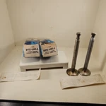 Lot If Nos Oem 1956-1963 Ford Truck 302 332 Std Engine Exhaust Valves. Fixed Price $34.80.