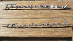 Pair 1957-1962 Ford Thunderbird Front Fender Script Emblems Oem Original T-bird. Fixed Price $149.99.