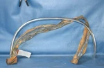 Nos 1976-83 Chevy Truck Lh Rear Wheel Lip Molding Edge Trim Ext Garnish 14046273. Fixed Price $170.00.