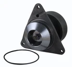 Water Pump 1993-1997 Ford CF700 CF800 L900 8.3L 3802081 F3HZ8501-BRM. Fixed Price $136.23.