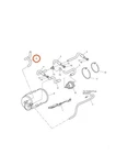 Triumph T1242578 - Evaporative Loss Control System Hose. Fixed Price $17.95.
