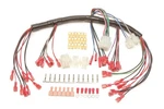 Painless Wiring 30302 Gauge Harness. Fixed Price $116.80.