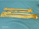 Pr Nos Quarter Glass Vertical Chrome Molding 69 70 71 72 Chevelle 442 Gto. Fixed Price $599.95.