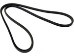 For 1953-1954 Packard Cavalier Accessory Drive Belt Generator 79716XHZC. Fixed Price $27.29.