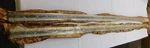 Nos Oem Ford 1973 1979 Truck Long Bedside Mouldings 1974 1975 1976 1977 1978. Fixed Price $959.00.