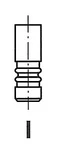 Freccia R4314/RCR Exhaust Valve For Volvo. Fixed Price $22.16.