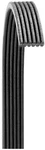Dayco 6081403 Serpentine Belt Main Drive 11-19 Ford F-250 Sd F-350. Fixed Price $59.05.