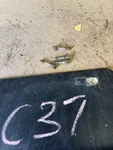 1960 1972 Chevrolet C10 Camaro Windshield Wiper Motor Transmission Linkage Screw. Fixed Price $29.99.