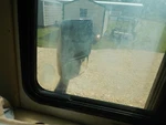 Foggy Rv Windows: Permanent Solution Diy 1/4" Spacer Kit W/ 10' Of Seal. Fixed Price $131.15.