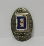 Used 1928-29 Durant Radiator Grille Emblem Badge Gus Fox Co. (sc). Fixed Price $276.21.